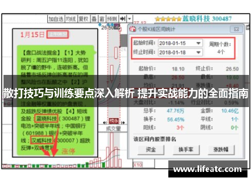 散打技巧与训练要点深入解析 提升实战能力的全面指南